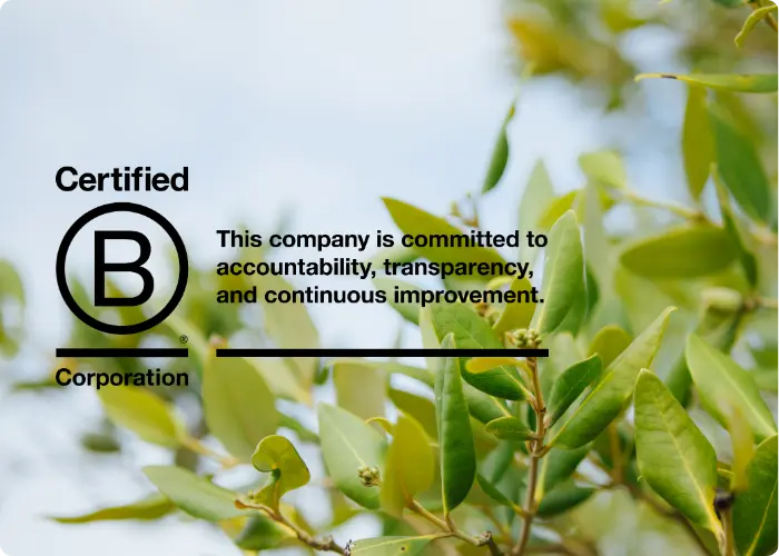 Certified B Corporation logo over a close-up of eucalyptus leaves, with the line: this company is committed to accountability, transparency, and continuous improvement.