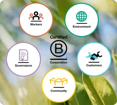 B Corp meaning